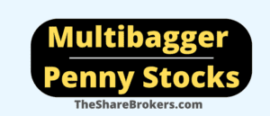 Multibagger-Penny-Stocks | TheShareBrookers