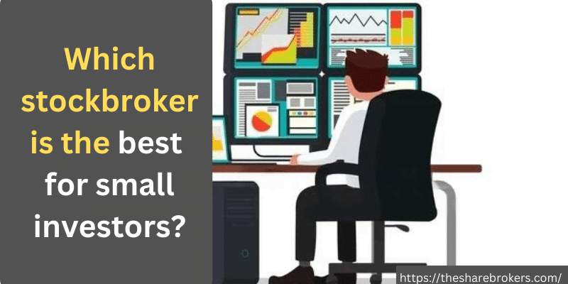 Which stock broker is the best for small investors?