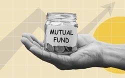 Best Broker for Direct Mutual Fund Investment in India : TheShareBrokers best broker for direct mutual fund investment in india